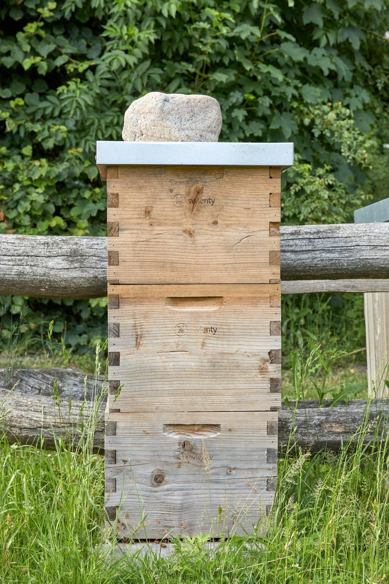 Dallund Slot Sonderso Exterior photo